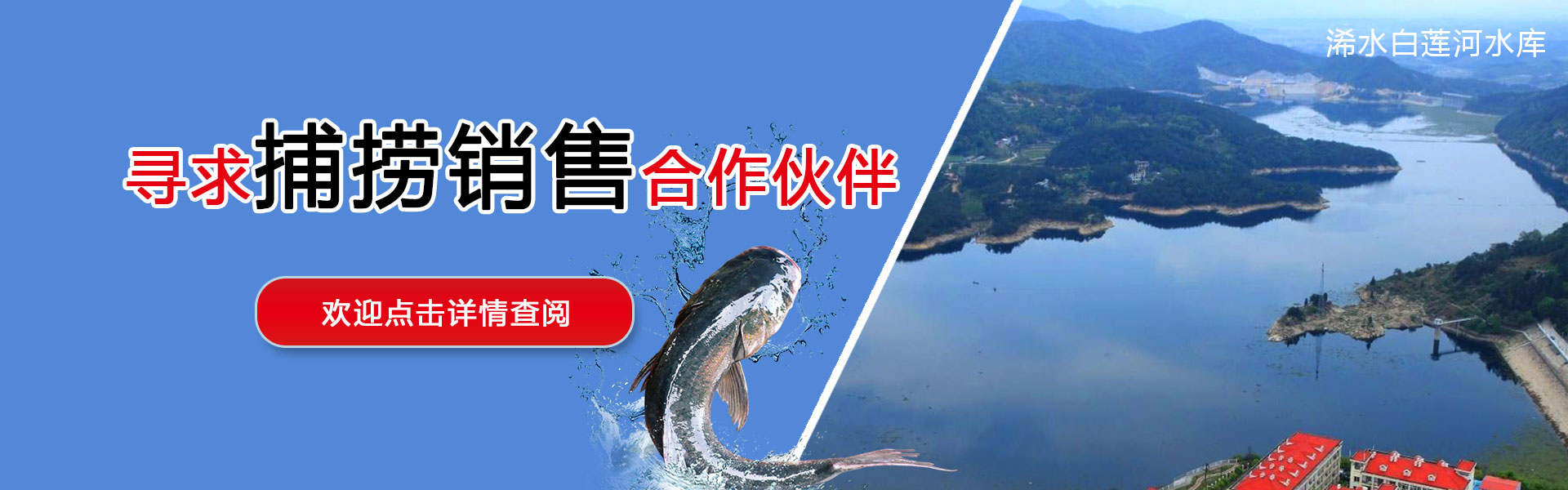 湖北胖頭魚批發(fā)廠家